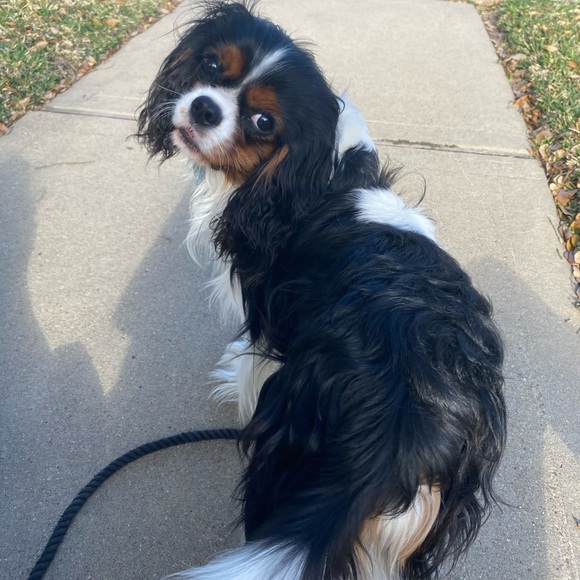 CLOSET CLEAROUT PLEASE - Picture 1 of 1